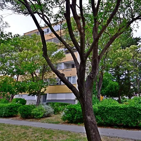 Near Center W Terrace On Of The Building * Σπλιτ